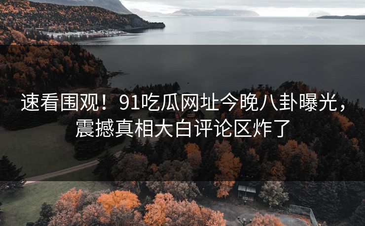速看围观！91吃瓜网址今晚八卦曝光，震撼真相大白评论区炸了