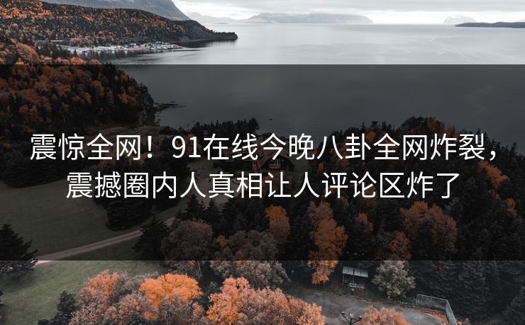 震惊全网！91在线今晚八卦全网炸裂，震撼圈内人真相让人评论区炸了  第1张