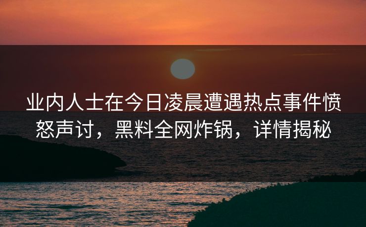 业内人士在今日凌晨遭遇热点事件愤怒声讨，黑料全网炸锅，详情揭秘  第1张