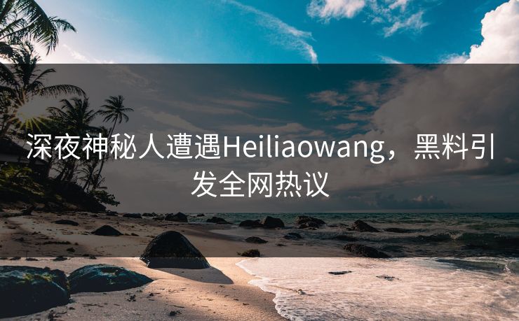 深夜神秘人遭遇Heiliaowang，黑料引发全网热议  第1张