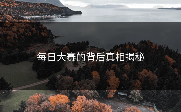 每日大赛的背后真相揭秘