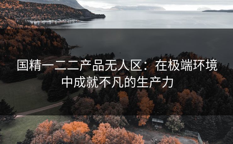 国精一二二产品无人区：在极端环境中成就不凡的生产力  第1张