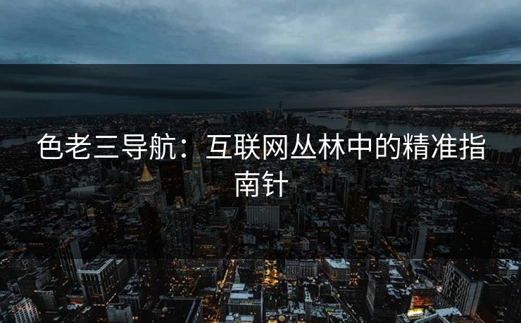 色老三导航:互联网丛林中的精准指南针