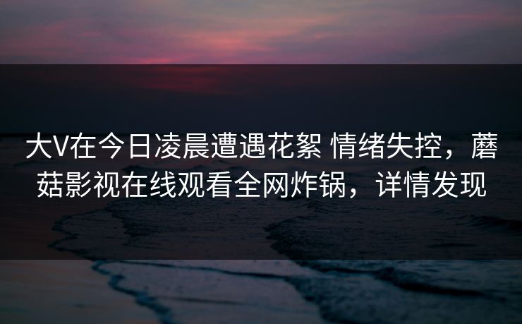 大V在今日凌晨遭遇花絮 情绪失控，蘑菇影视在线观看全网炸锅，详情发现