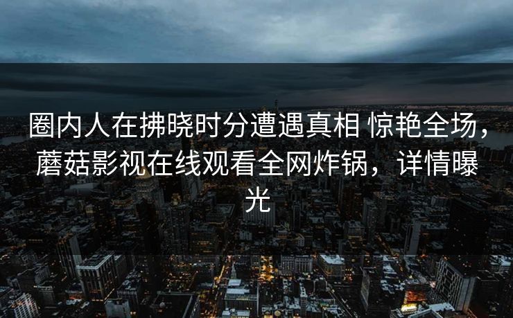 圈内人在拂晓时分遭遇真相 惊艳全场，蘑菇影视在线观看全网炸锅，详情曝光
